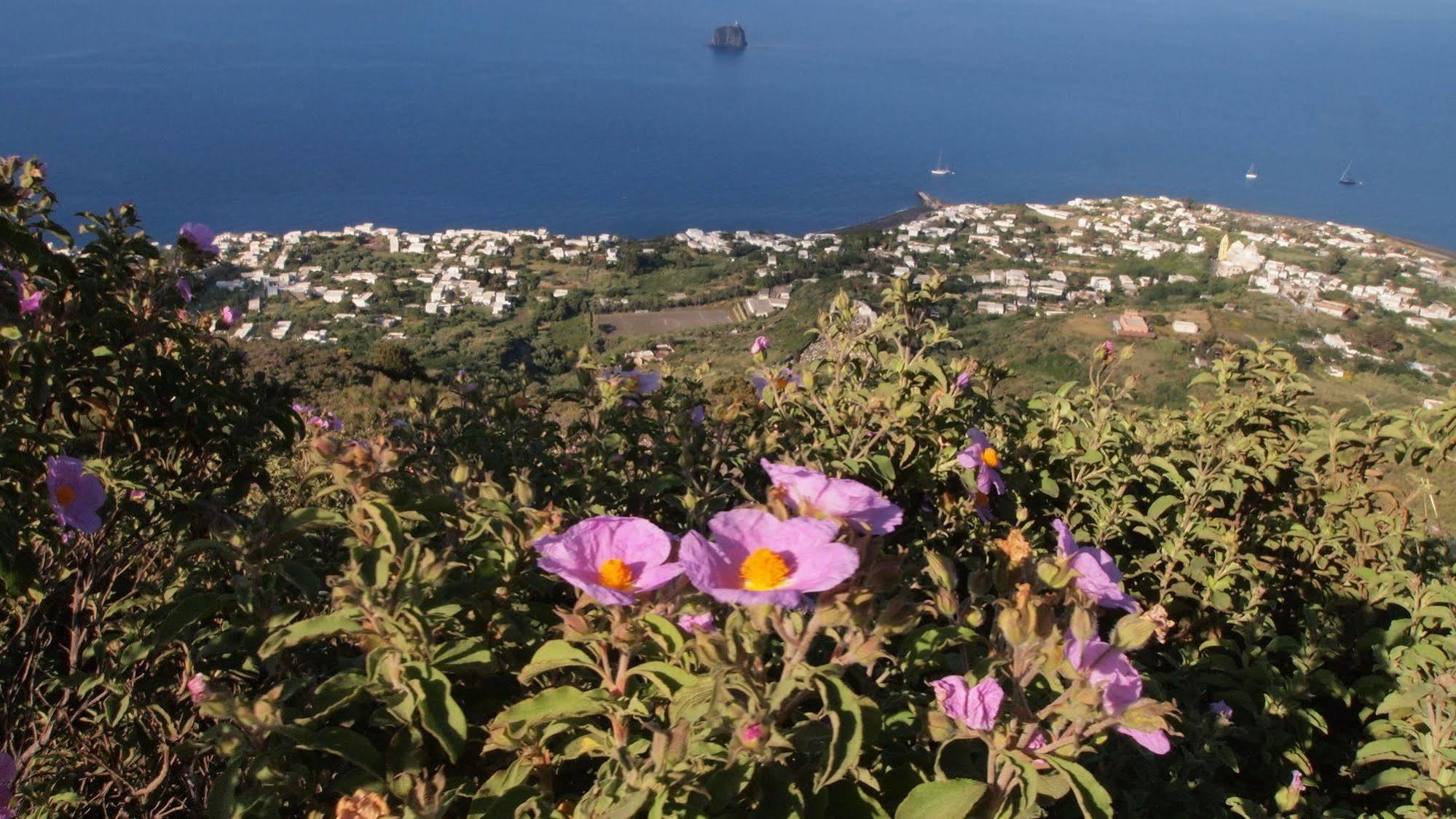 Hotel Il Vulcano A Piedi Stromboli Exteriér fotografie